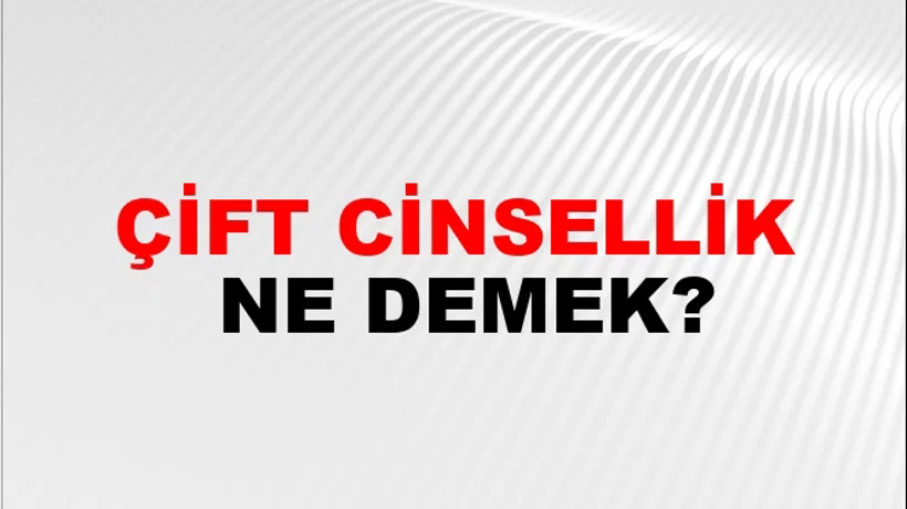 Çift Cinsellik Çift Cinsellik