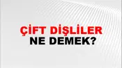 Çift Dişliler