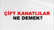 Çift Kanatlılar