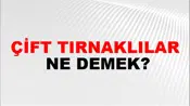 Çift Tırnaklılar