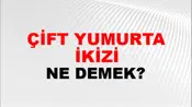 Çift Yumurta İkizi