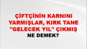 Çiftçinin Karnını Yarmışlar, Kırk Tane "gelecek Yıl" Çıkmış