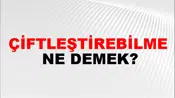 Çiftleştirebilme