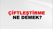 Çiftleştirme