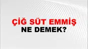 Çiğ Süt Emmiş