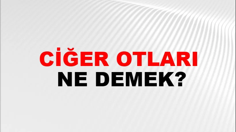 Ciğer Otları Ciğer Otları