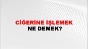 Ciğerine İşlemek