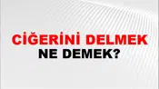 Ciğerini Delmek (Veya delip geçmek)