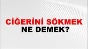 Ciğerini Sökmek