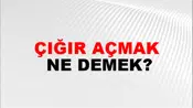 Çığır Açmak