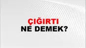 Çığırtı
