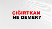 Çığırtkan