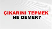 Çıkarını Tepmek