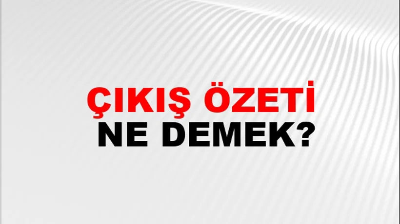 Çıkış Özeti Çıkış Özeti