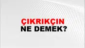 Çıkrıkçın