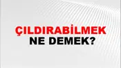 Çıldırabilmek