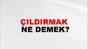 Çıldırmak