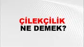 Çilekçilik