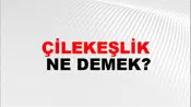 Çilekeşlik