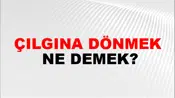 Çılgına Dönmek