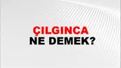 Çılgınca