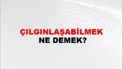 Çılgınlaşabilmek