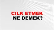 Cılk Etmek