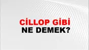 Cillop Gibi