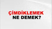 Çimdiklemek