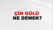 Çin Gülü