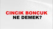 Cıncık Boncuk