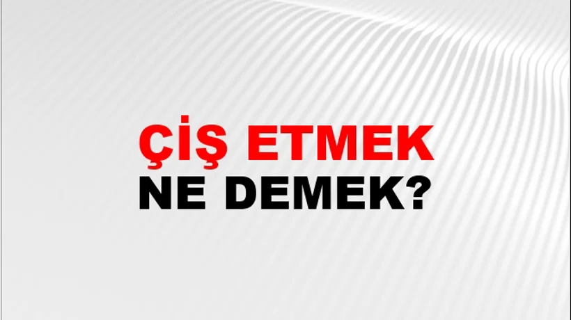 Çiş Etmek (Veya yapmak) Çiş Etmek (Veya yapmak)