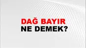 Dağ Bayır