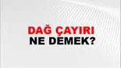 Dağ Çayırı