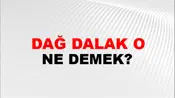 Dağ Dalak Otu