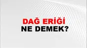 Dağ Eriği