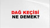 Dağ Keçisi