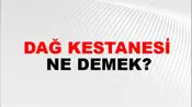 Dağ Kestanesi