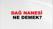 Dağ Nanesi
