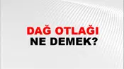 Dağ Otlağı