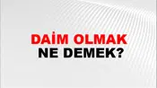 Daim Olmak