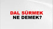 Dal Sürmek