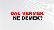 Dal Vermek
