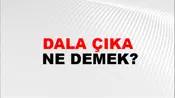 Dala Çıka