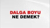 Dalga Boyu