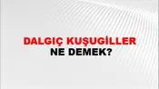 Dalgıç Kuşugiller