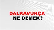 Dalkavukça