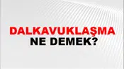 Dalkavuklaşma