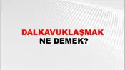 Dalkavuklaşmak