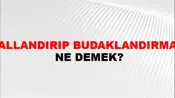 Dallandırıp Budaklandırmak